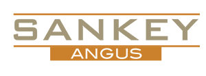 Sankey Angus | Economy, Indiana Logo